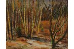 Суниньш Жанис (1904 - 1993), Весенний лес, холст, масло, 60 x 75 см...